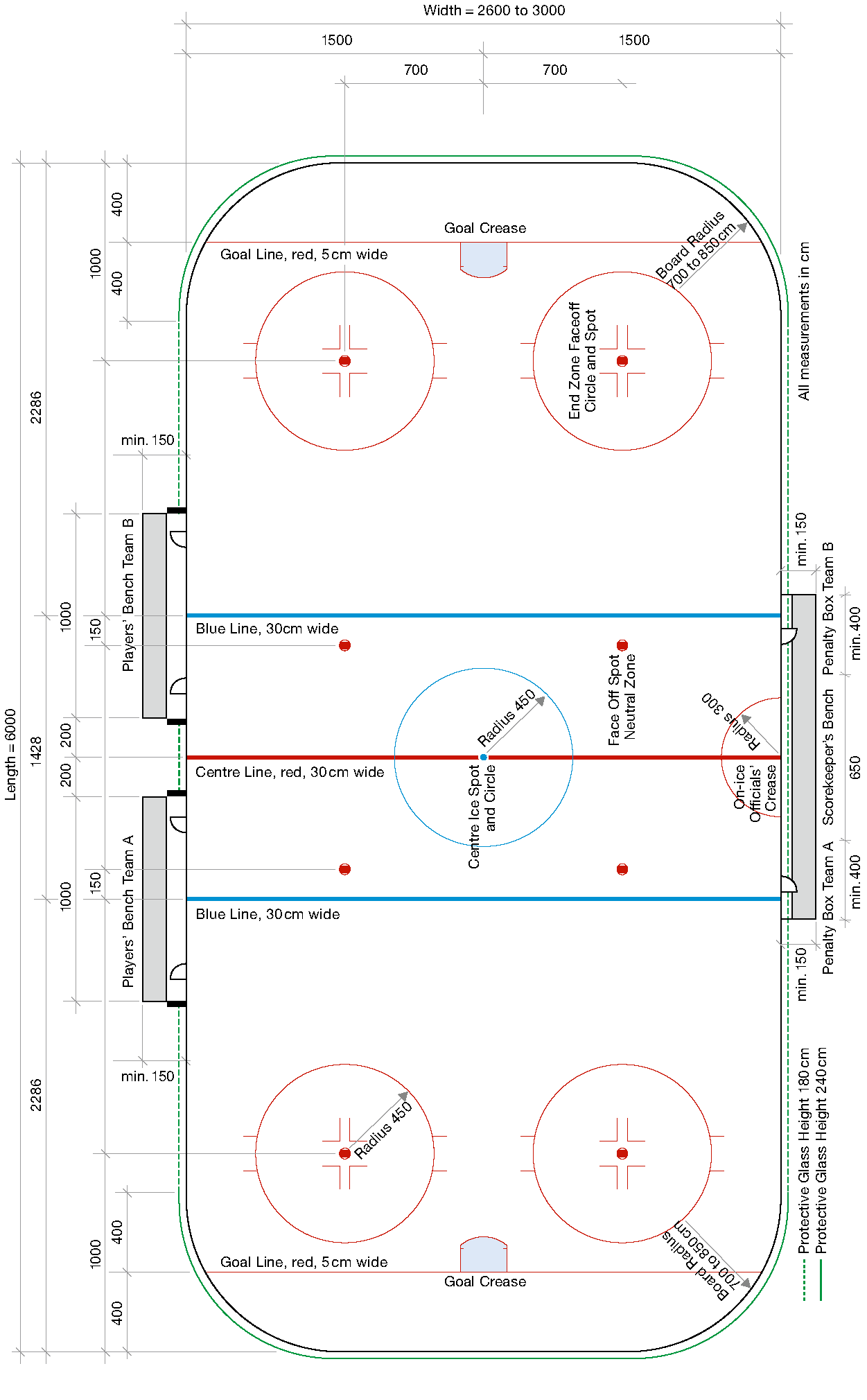 Standard dimensions of rink