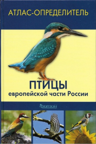Птицы Европейской части России