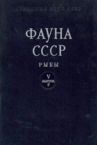 Сем. Зубаток