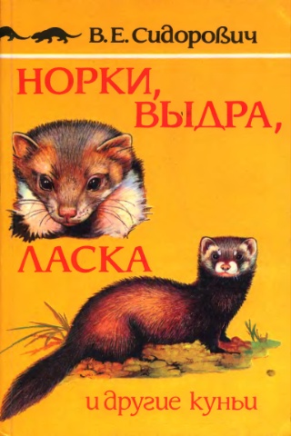 Норка, выдра, ласка и другие куньи